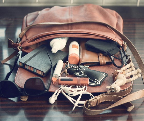 Travel Gears