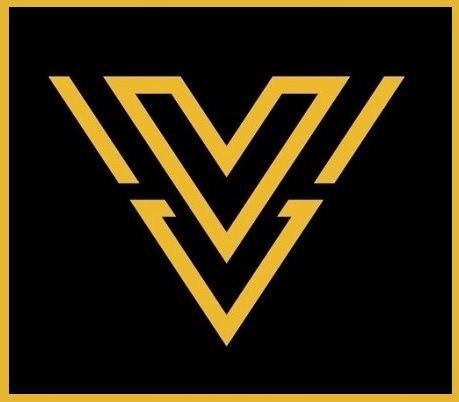 VIZERD Immersive Virtual Travel